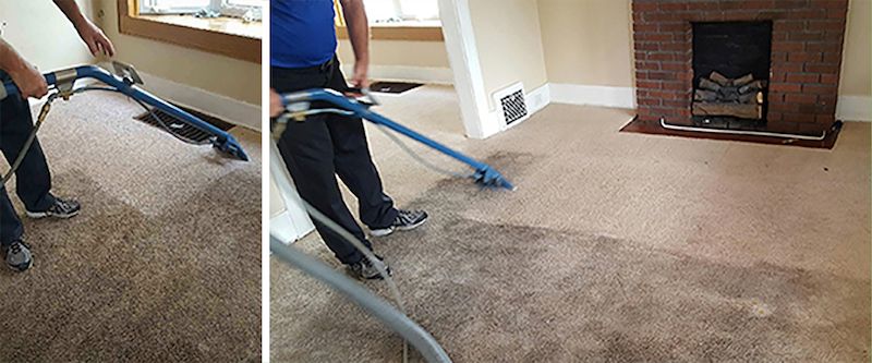 Info, Fiction, And Carpet Cleaning Pimpama