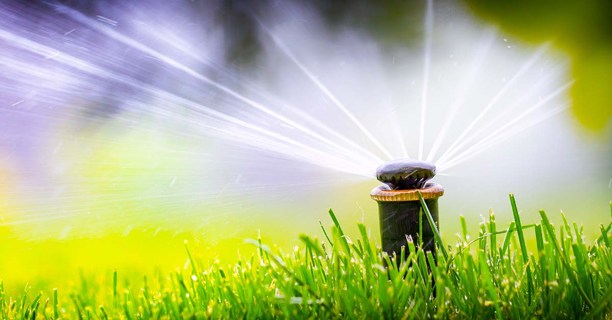 Lush Lawns Await Top-Tier Sprinkler Repair Services