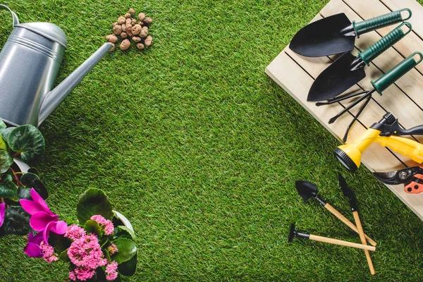 The Essential Guide to Garden Tools: What You Really Need